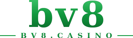 bv8 logo